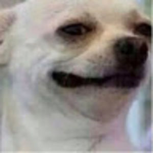 Meet your Posher, Auji